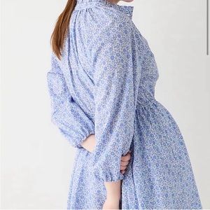 J.Crew Liberty Print D’Anjo Coast Floral Shirt Dress